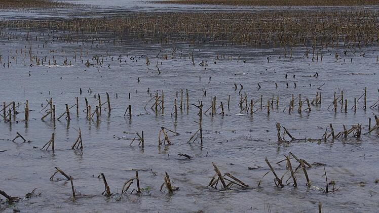 Wo sonst Getreide angebaut wird, hat sich das Wasser ausgebreitet. Foto: Marco Meißner