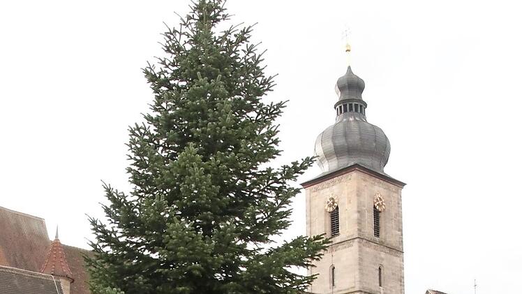 Seit Montag ziert die Nordmann-Tanne aus Gosberg den Forchheimer Rathausplatz.  Foto: Josef Hofbauer