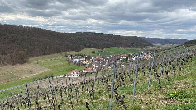 Weinberge und Weitblicke: Der "Rhön-Rundweg 5 Saaletal" hat beides zu bieten.
