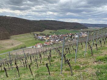 Weinberge und Weitblicke: Der "Rhön-Rundweg 5 Saaletal" hat beides zu bieten.