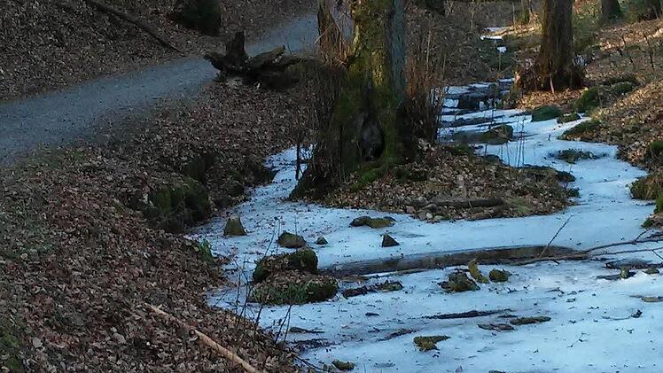 Zu jeder Jahreszeit ein Erlebnis ist das Kaskadental, das in Richtung Klaushof führt