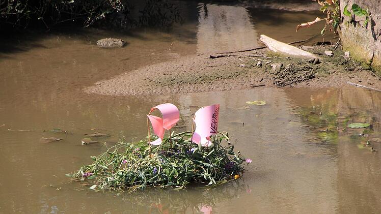 Blumen Lechner hat kleine Kunstwerke in der Aisch installiert.  Foto: Andreas Dorsch