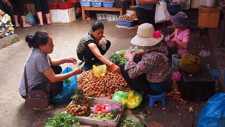 Britta Rürup und Stephanie Kraus reisten nach Vietnam und brachten viele Eindrücke und Rezepte mit in die Heimat.  Fotos: Stephanie Kraus und Britta Rürup