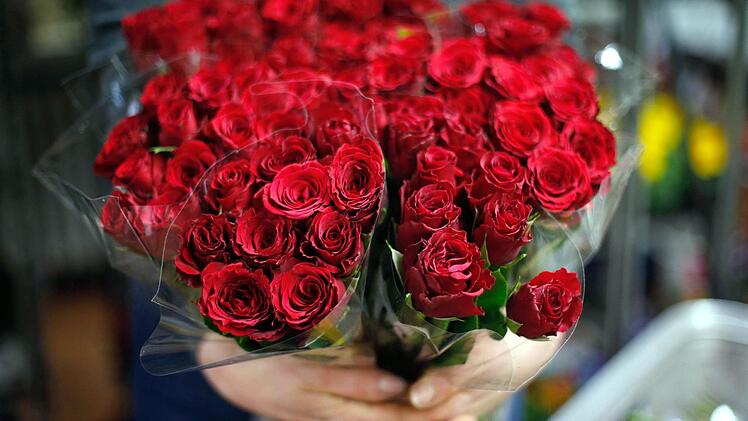 Über Rosen - auch an Valentinstag - freut sich jede Frau. (Symbolbild - Foto: Ina Fassbender / dpa)