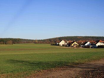 Auf der grünen Wiese soll nach dem Willen der Gemeinde Gundelsheim ein neues Baugebiet entstehen. Nicht alle sind dafür. Foto: p.
