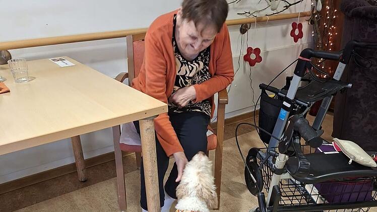 H&uuml;ndin Frieda stattet Senioren und Seniorinnen Besuch ab.