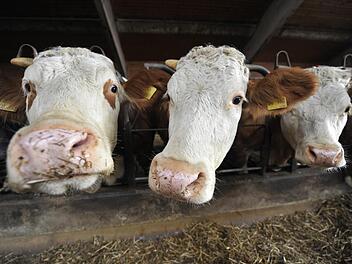 In Franken gibt's noch Bauernhöfe, die Region ist sehr stark ländlich geprägt. Foto: Andreas Gebert/dpa