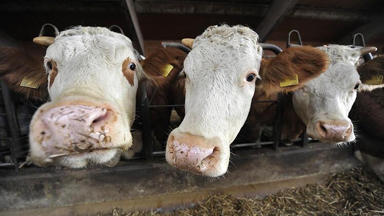In Franken gibt's noch Bauernhöfe, die Region ist sehr stark ländlich geprägt. Foto: Andreas Gebert/dpa