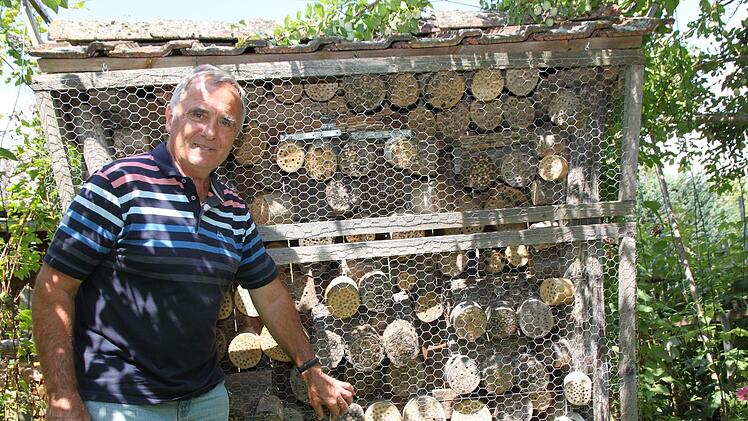 Was nach einem Stapel Altholz hinter Draht aussieht, ist ein Refugium für die nächste Generation Wildbienen. Günter Reif hat sein Quartier nach Süd-Osten ausgerichtet und mit Esche und Robinie bestückt. Drum herum wachsen Trachtpflanzen wie Becherblume, Akelei und Apfel.Jochen Nützel