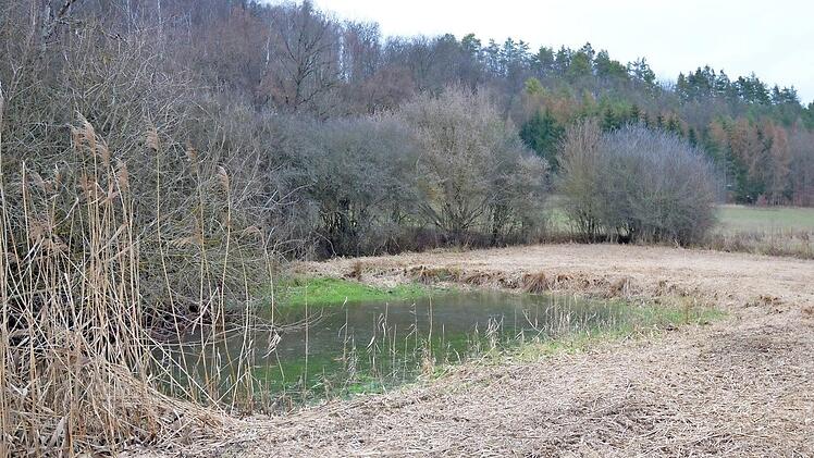 Im Dürresommer blieb dieser Tümpel eine der wenigen freien Wasserflächen als Tränke für Wildtiere.