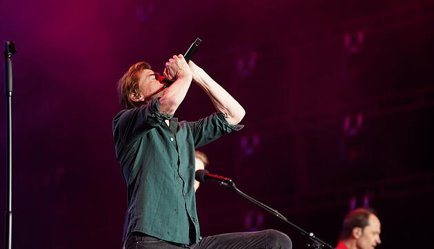Rock im Park 2023: Die Toten Hosen