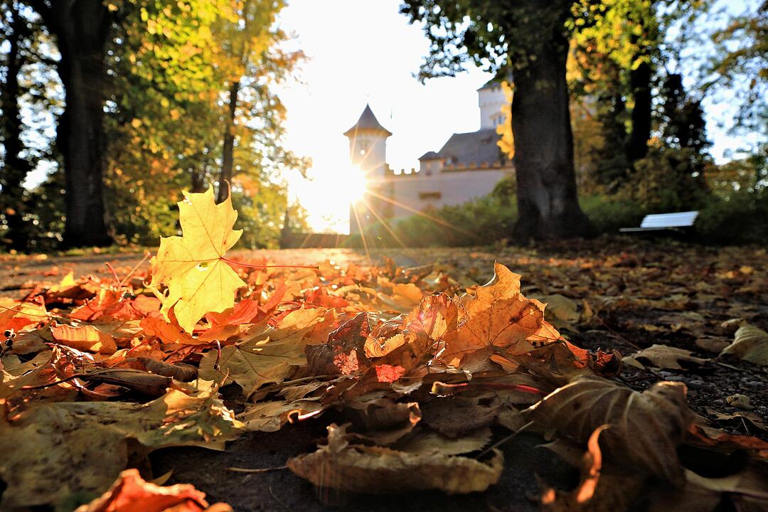 Herbst bei Schloss Greifenstein