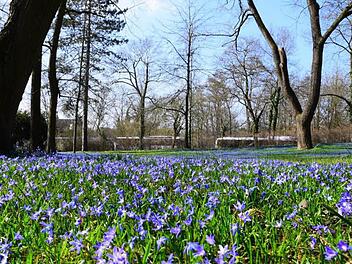 Die Blumenwiese neben der Residenz in W&uuml;rzburgvia inFrankenPix: Angeleye1971