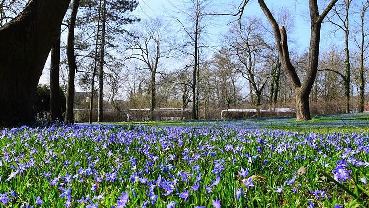 Die Blumenwiese neben der Residenz in W&uuml;rzburgvia inFrankenPix: Angeleye1971