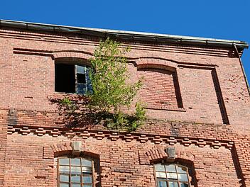 Ist ein schlichter Wohnblock die einzige Alternative für eine Neugestaltung des Geländes der ehemaligen Mälzerei Müller? Auch darüber wurde beim Stadtrundgang durch Kulmbach diskutiert.  Fotos: Katrin Geyer