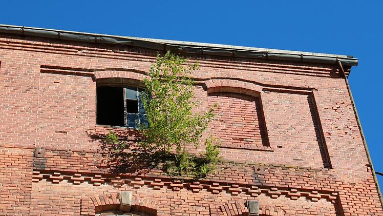 Ist ein schlichter Wohnblock die einzige Alternative für eine Neugestaltung des Geländes der ehemaligen Mälzerei Müller? Auch darüber wurde beim Stadtrundgang durch Kulmbach diskutiert.  Fotos: Katrin Geyer