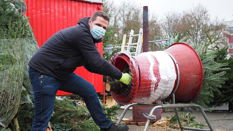 Die Weihnachtsbäume aus Dänemark werden unter anderem in Neustadt am Moos verkauft.  Foto: Cindy Dötschel