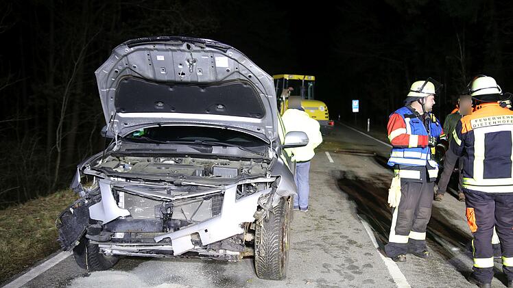 14 tote Schafe bei Unfall bei Dietenhofen: Auto erfasst Herde