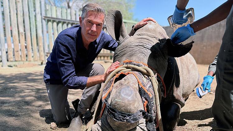 Hautnah bei den Tieren: Dirk Steffens besuchte f&uuml;r seine erste Doku der ARD-Reihe "Erlebnis Erde" den Kruger-Nationalpark in S&uuml;dafrika.