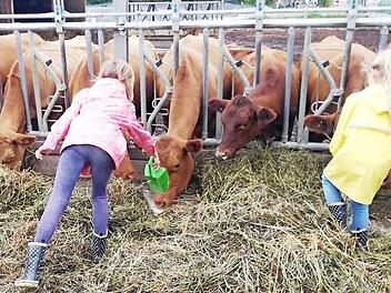 Beim F&uuml;ttern hatten die M&auml;dchen und Jungen der Kinderwohngruppen viel Spa&szlig;.
