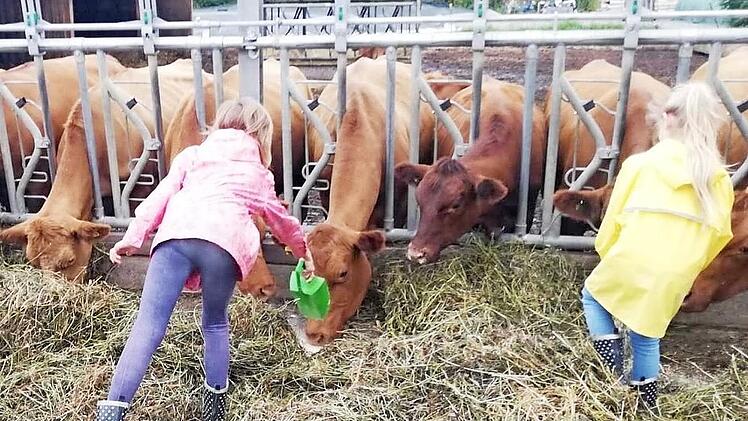 Beim Füttern hatten die Mädchen und Jungen der Kinderwohngruppen viel Spaß.