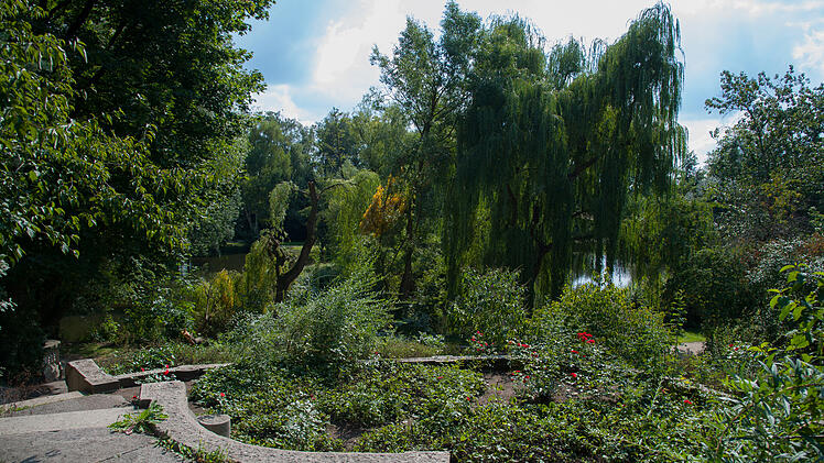 Tullnaupark