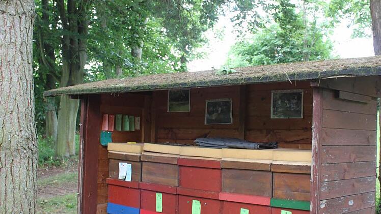Bienenstand im Lichtenfelser Vereinsgarten