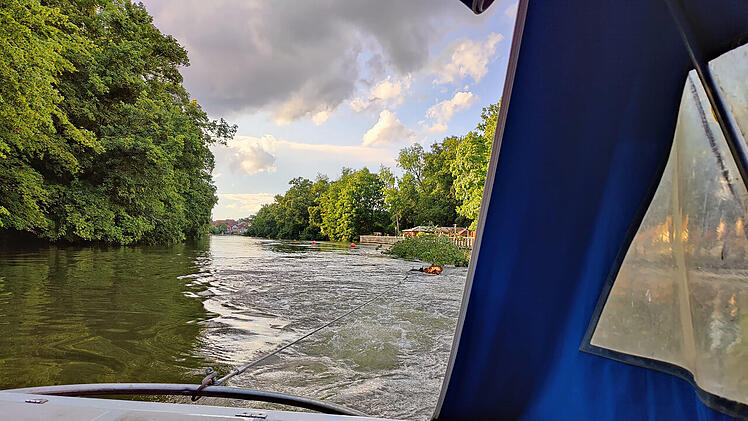 Bamberg: Feuerwehreinsatz oberhalb der Hainbadestelle - Einsatzkräfte müssen Baum sichern