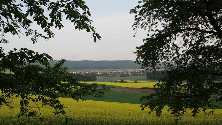Blick zum Kreuzberg Hallerndorf