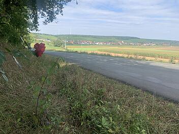 Der Berufungsprozess um den Unfalltod der 20-J&auml;hrigen Theresa Stahl vor dem W&uuml;rzburger Landgericht ist abgeschlossen.