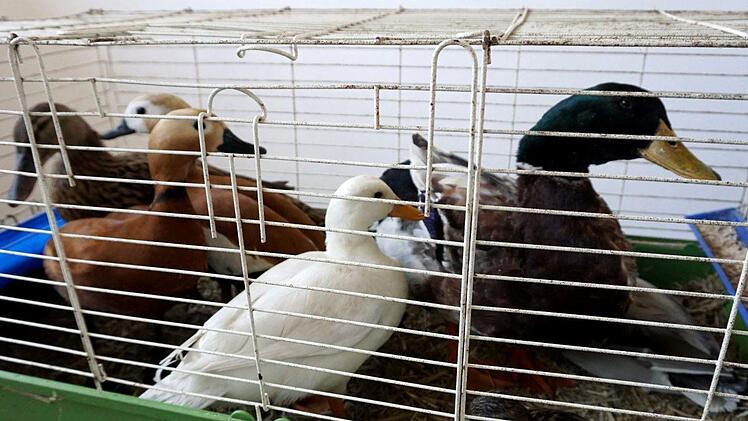 Foto: Richard Sänger