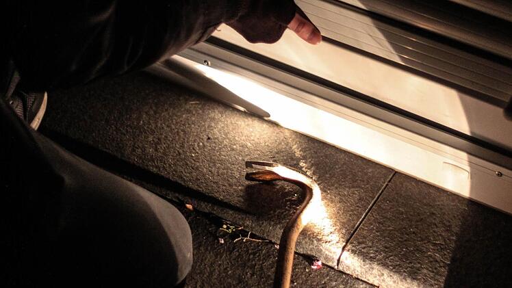 In der Gaststätte eines Erlanger Sportvereins wurde am Samstagmorgen eingebrochen.Symbolbild: Christopher Schulz