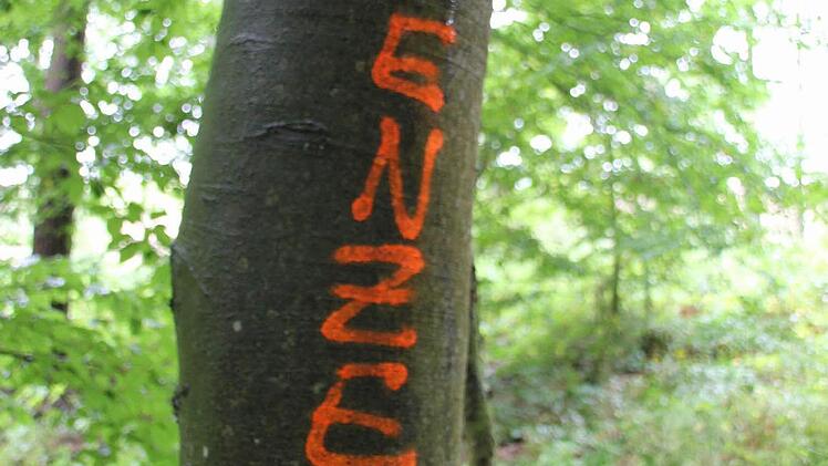 Grenzlinie: am Baum ...