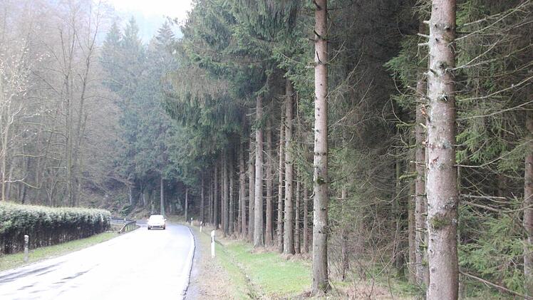 Blick von der Felsmühle in Richtung Haarnadelkurve Foto: Friedwald Schedel