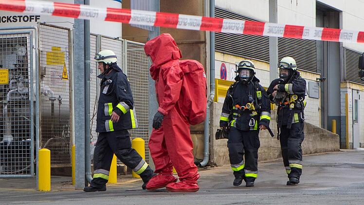 Foto: NEWS5 / Grundmann
