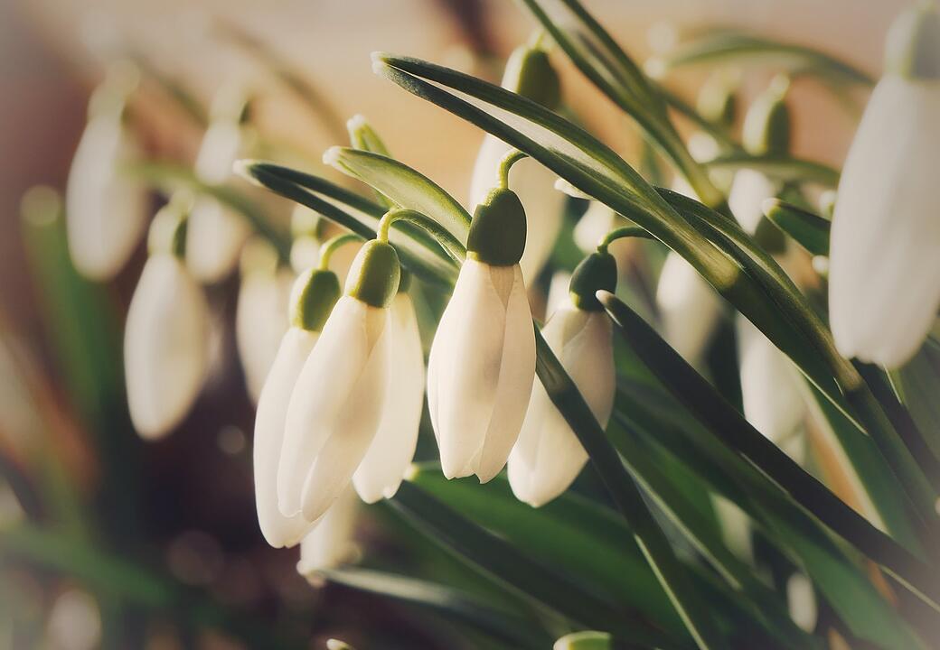 Die schönsten Frühlingsfotos aus Coburg und Umgebung