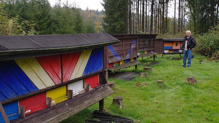 Der Wald und zirka 800 000 Bienen lassen Walter Heck Ruhe und Gelassenheit erfahren. Foto: Stephanie Elm