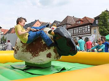 Sekunden vor dem Fall: Kinder konnten auch einen Plastikbullen reiten.  Fotos: Markus Häggberg