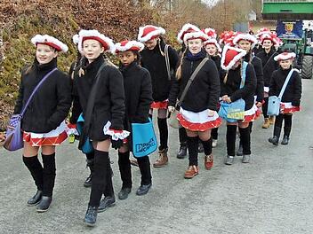 Junge und auch ältere Hiltpoltsteiner Narren marschierten durch den Ort. Fotos: Petra Malbrich