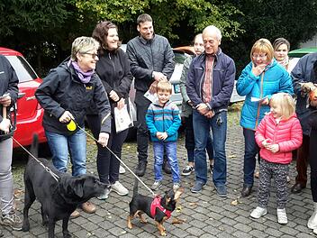Recht überschaubar gestaltete sich das Interesse an der Tiersegnung in Bad Brückenau. Lediglich drei Hundehalterinnen waren mit ihren Vierbeinern zu der Zeremonie vor der Friedenskirche gekommen. Der Familiengottesdienst stieß allerdings auf große Resonanz.   Rolf Pralle