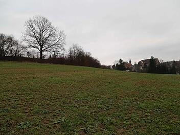Das künftige Baugebiet Binzig, links der Friedhof  Foto: Franz Galster