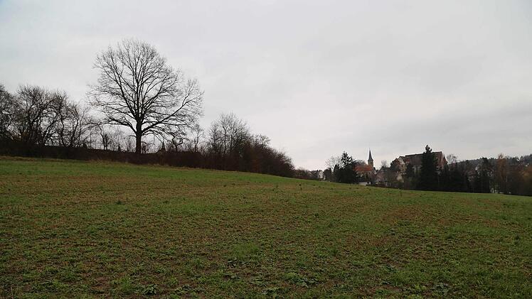 Das künftige Baugebiet Binzig, links der Friedhof  Foto: Franz Galster