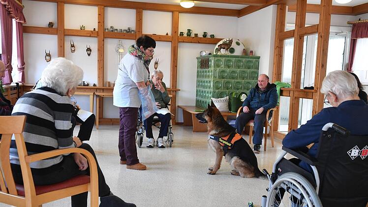 Therapiehund Aramis bei den Senioren im Kulmbacher WohnstiftFoto: Ronald Rinklef
