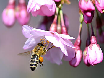 Fr&uuml;hlingshaftes Wetter in Bayern