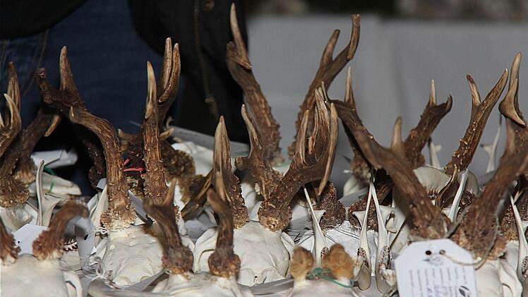 Gehörnwald in der Trophäenausstellung.