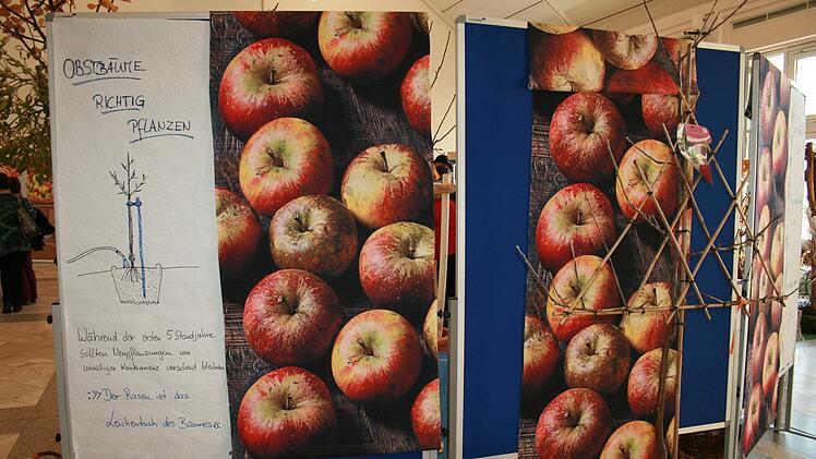 Impressionen von den Streuobsttagen in Bad Bocklet. Foto: Gabriele Sell