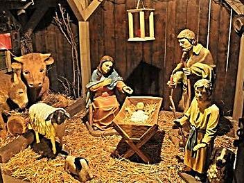 Das weiße Schaf (links) steht seit kurzen in der Dorfkrippe in Unterpreppach. Es leistet dem Jesuskind mit Maria und Josef, Ochs und Esel, einem weiteren Schaf und einem Hund Gesellschaft.  Foto: Helmut Will