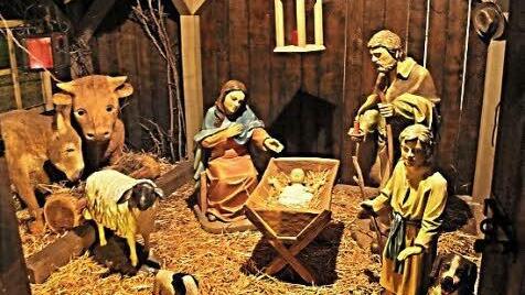 Das weiße Schaf (links) steht seit kurzen in der Dorfkrippe in Unterpreppach. Es leistet dem Jesuskind mit Maria und Josef, Ochs und Esel, einem weiteren Schaf und einem Hund Gesellschaft.  Foto: Helmut Will