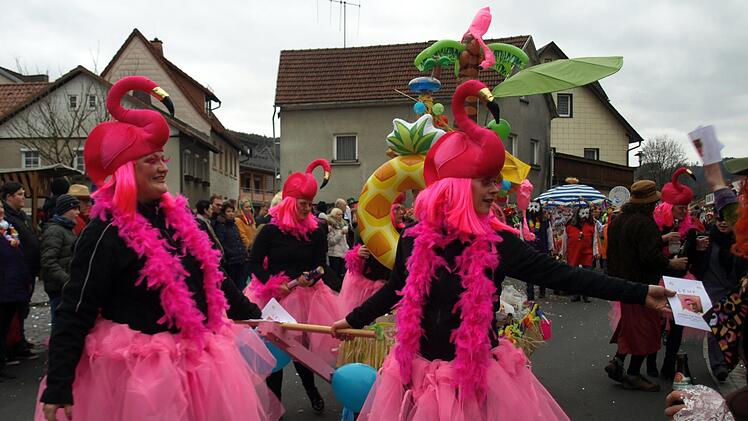 Impressionen vom Faschingsumzug in Steinwiesen. Foto: Susanne Deuerling