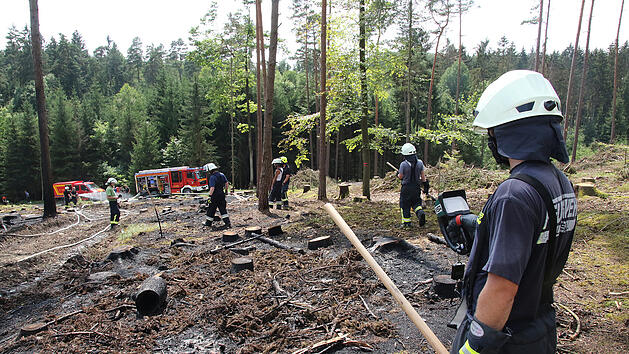 Feuerwehr l&ouml;scht Brand in einem Waldst&uuml;ck